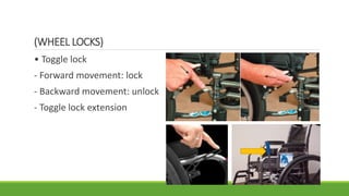 Pascua_Lecture PPT.pptx