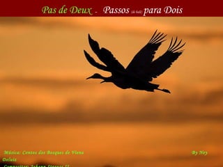Pas de Deux   –  Passos  (de balé)   para Dois Música:  Contos dos  B osques de Viena     By Ney Deluiz Compositor:  Johann Straus s II     Use o mouse 