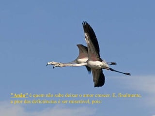 "Anão"  é quem não sabe deixar o amor crescer. E, finalmente, a pior das deficiências é ser miserável, pois:  