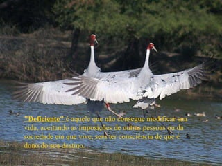 "Deficiente"  é aquele que não consegue modificar sua vida, aceitando as imposições de outras pessoas ou da sociedade em que vive, sem ter consciência de que é dono do seu destino.  