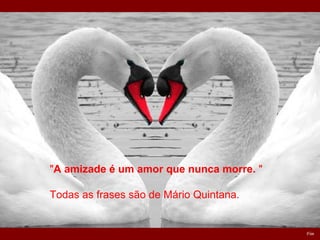 Fim                                                                                                                                                                    " A amizade é um amor que nunca morre.  "   Todas as frases são de Mário Quintana. 