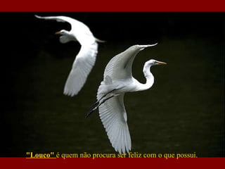 "Louco"  é quem não procura ser feliz com o que possui.  