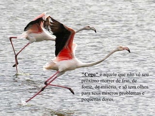 "Cego"  é aquele que não vê seu próximo morrer de frio, de fome, de miséria, e só tem olhos para seus míseros problemas e pequenas dores.  