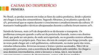 CAUSAS DO DESPERDÍCIO
PRIMEIRA
No Brasil, as perdas ocorrem em todas as fases da cadeia produtiva, desde o plantio
até chegar à mesa dos consumidores. Segundo Abrantes, já no plantio a perda é de
5%, porcentual que se repete durante o crescimento e amadurecimento da cultura. O
manuseio inadequado e técnicas ultrapassadas durante a colheita levam outros 20%.
Saindo da lavoura, mais 20% de desperdício se dá durante o transporte. Os
problemas começam quando a safra sai da porteira da fazenda, rumo a seu destino
final, que pode ser um porto, de onde será exportada, ou os grandes centros urbanos
consumidores no próprio país. Para isso, ela tem de cumprir uma longa jornada, que
às vezes pode chegar até 2 mil quilômetros, enfrentando, na maior parte das vezes,
estradas esburacadas, ferrovias escassas e lentas e portos sucateados. Não é de se
surpreender, portanto, com a ocorrência de desperdício pelo caminho. Ao chegar a
seus destinos intermediários, entre a lavoura e a mesa, isto é, nos locais de
 