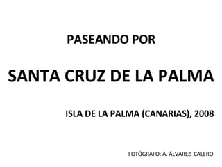 PASEANDO POR SANTA CRUZ DE LA PALMA ISLA DE LA PALMA (CANARIAS), 2008 FOTÓGRAFO: A. ÁLVAREZ  CALERO 