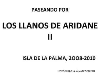 PASEANDO POR LOS LLANOS DE ARIDANE II ISLA DE LA PALMA, 2OO8-2010 FOTÓGRAFO: A. ÁLVAREZ CALERO 