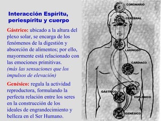 El Pase Espírita Interacción   Espíritu,  periespíritu y cuerpo  Genésico:   regula la actividad reproductora, formulando la perfecta relación entre los seres en la construcción de los ideales de   engrandecimiento y belleza en el Ser Humano.   Gástrico:   ubicado a la altura del plexo solar, se encarga de los fenómenos de la digestión y absorción de alimentos; por   ello, mayormente está relacionado con las emociones primitivas . ( más las sensaciones que los impulsos de elevación ) 