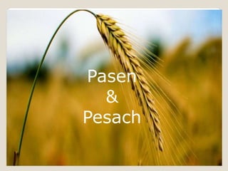 Pasen
&
Pesach
 