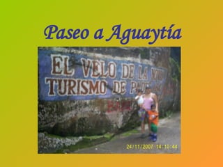 Paseo a Aguaytía 