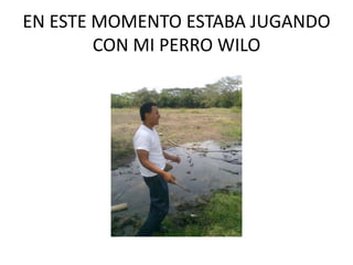 EN ESTE MOMENTO ESTABA JUGANDO CON MI PERRO WILO