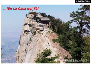 … ¡En La Casa del Té!