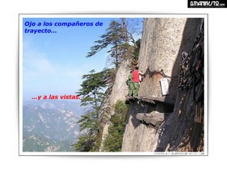 Ojo a los compañeros de trayecto… … y a las vistas.