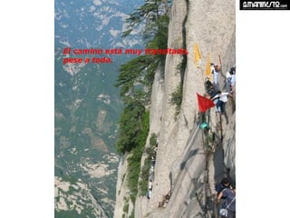 El camino está muy transitado, pese a todo.