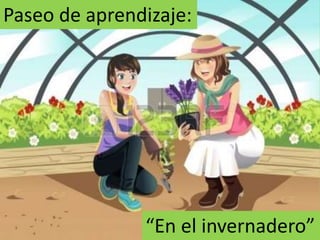 Paseo de aprendizaje:
“En el invernadero”
 