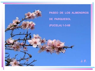 PASEO DE LOS ALMENDROS

DE PARQUESOL

(PUCELA) 1-3-08




                  J. F.
 