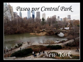 Paseo por Central Park

New York

 