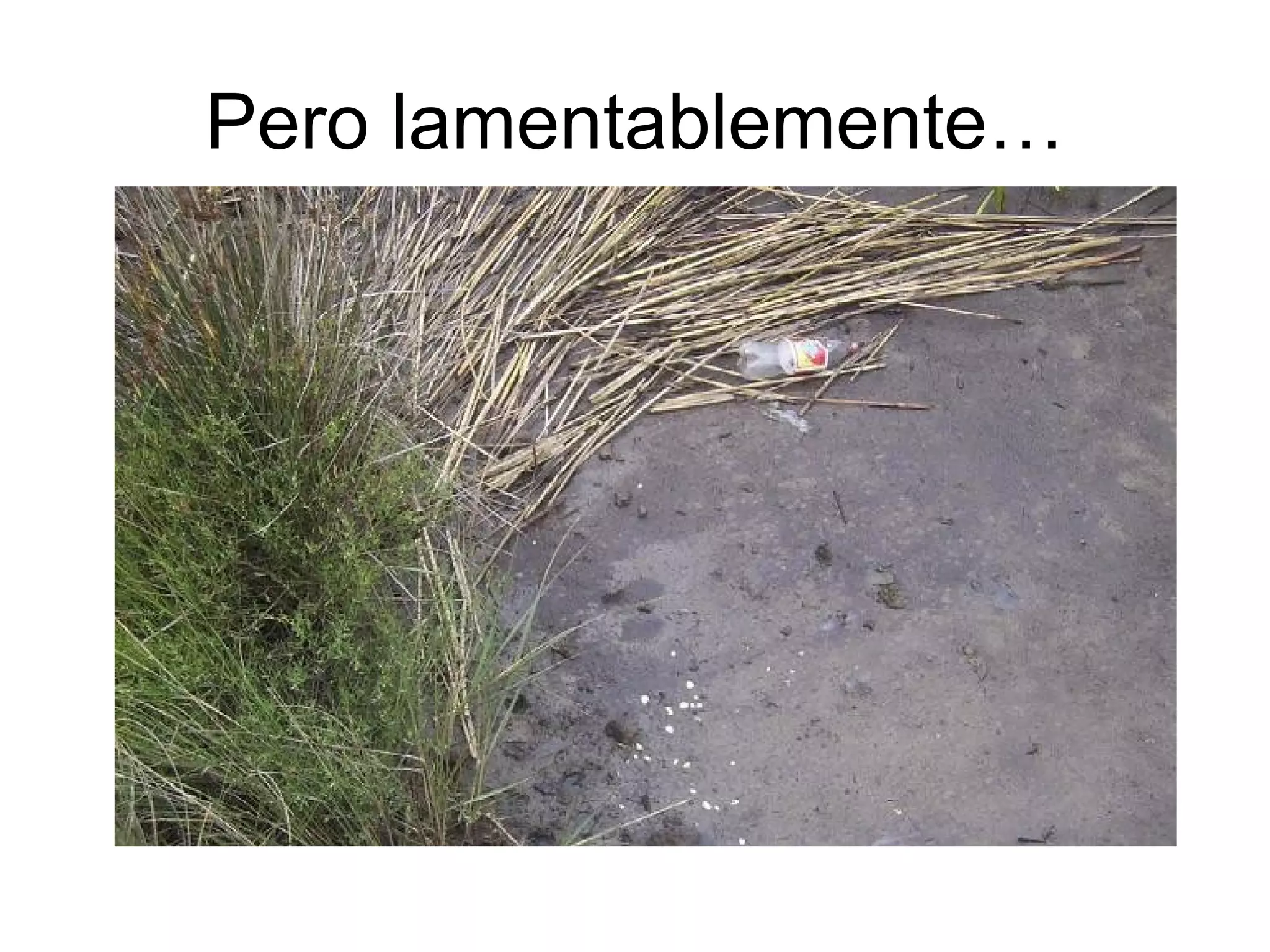 Pero lamentablemente…
 
