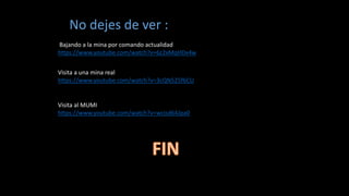 Visita a una mina real
https://www.youtube.com/watch?v=3cQN525f6CU
Bajando a la mina por comando actualidad
https://www.youtube.com/watch?v=6z2xMqHDx4w
No dejes de ver :
Visita al MUMI
https://www.youtube.com/watch?v=wcisd64Jpa0
 