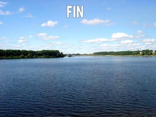FIN 
