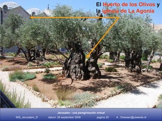 Getsemaní, el Huerto de los Olivos  El  Huerto de los Olivos  y la  iglesia de La Agonía 