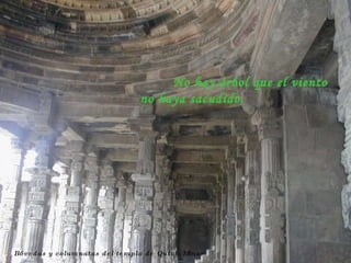 Bóvedas y columnatas del templo de Qutab Minar No hay árbol que el viento no haya sacudido. 