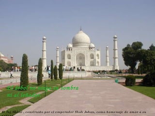 El Taj Mahal , construido por el emperador Shah Jahan, como homenaje de amor a su esposa El árbol no niega su sombra ni al leñador. 