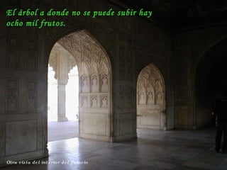 Otra vista del interior del Palacio El árbol a donde no se puede subir hay ocho mil frutos. 