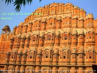 Palacio de los vientos, desde las múltiples ventanas las mujeres del harén  podían ver sin ser vistas La vida es la novia de la muerte. 
