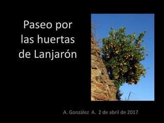 Paseo por
las huertas
de Lanjarón
A. González A. 2 de abril de 2017
 