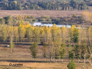 O rurales