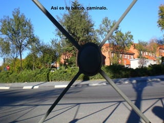 Así es tu barrio, camínalo.