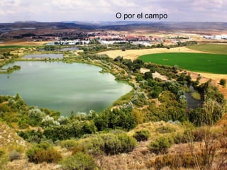 O por el campo