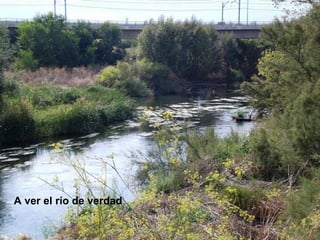 A ver el río de verdad