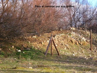 Pero si caminar por sus orillas