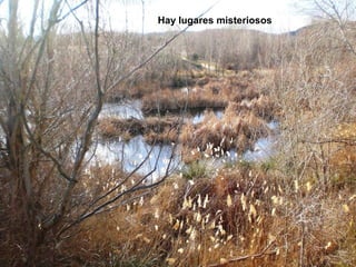 Hay lugares misteriosos