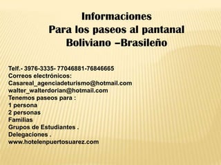 Informaciones
            Para los paseos al pantanal
               Boliviano –Brasileño

Telf.- 3976-3335- 77046881-76846665
Correos electrónicos:
Casareal_agenciadeturismo@hotmail.com
walter_walterdorian@hotmail.com
Tenemos paseos para :
1 persona
2 personas
Familias
Grupos de Estudiantes .
Delegaciones .
www.hotelenpuertosuarez.com
 
