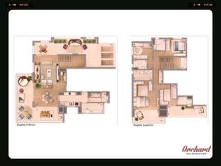 Duplex Inferior Duplex Superior
 