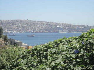 Paseo virtual por Museo