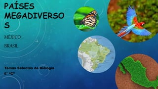 PAÍSES
MEGADIVERSO
S
MÉXICO
BRASIL
Temas Selectos de Biología
6° “C”
 