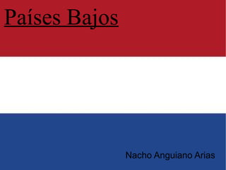 Países Bajos




               Nacho Anguiano Arias
 