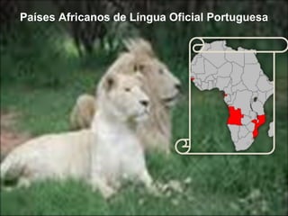 Países Africanos de Língua Oficial Portuguesa 