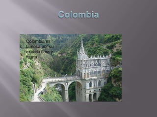 ColombiaColombia es famosa por su exótica flora y fauna