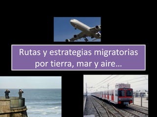 Rutas y estrategias migratorias
por tierra, mar y aire…
 