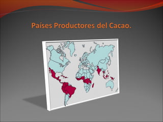 Países productores del cacao