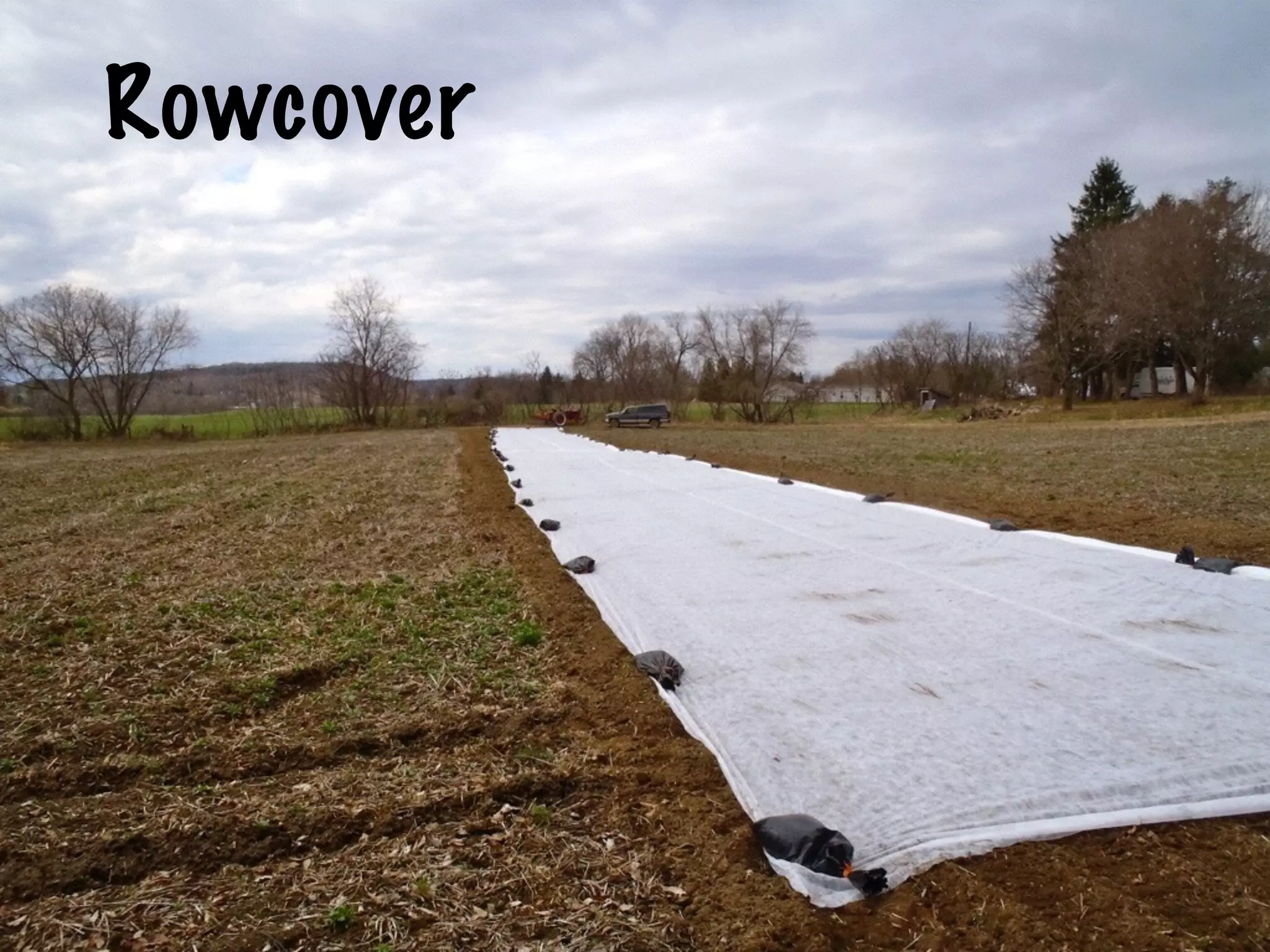 Rowcover
 