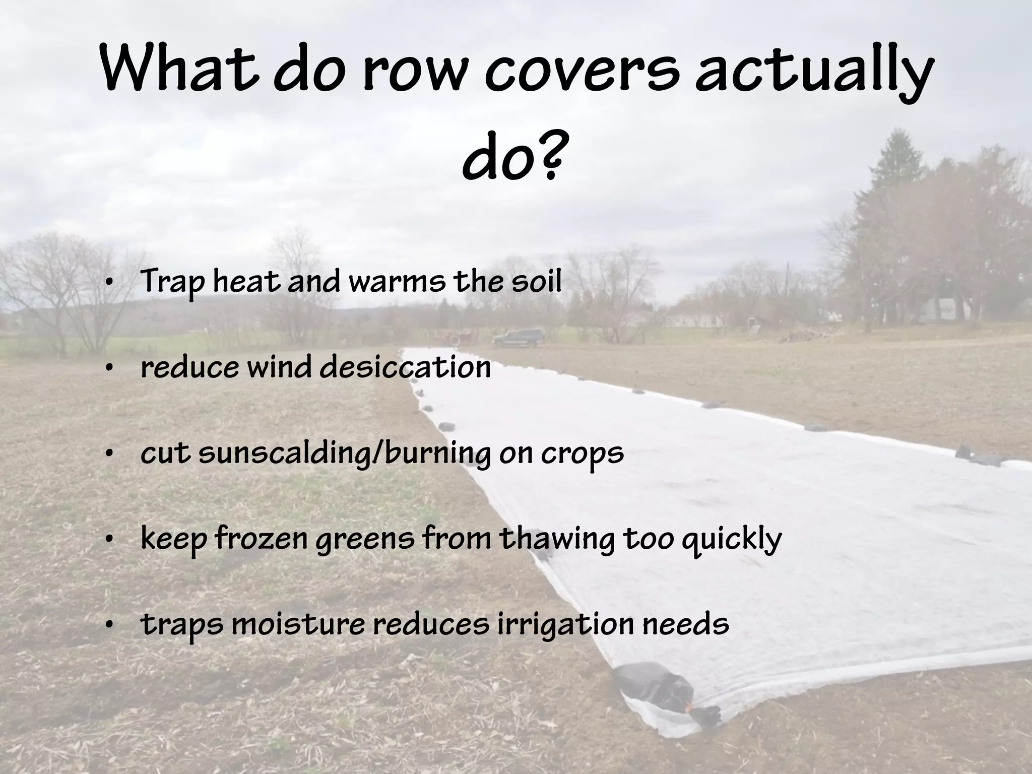 What do row covers actually
do?
• Trap heat and warms the soil
• reduce wind desiccation
• cut sunscalding/burning on crops
• keep frozen greens from thawing too quickly
• traps moisture reduces irrigation needs
 