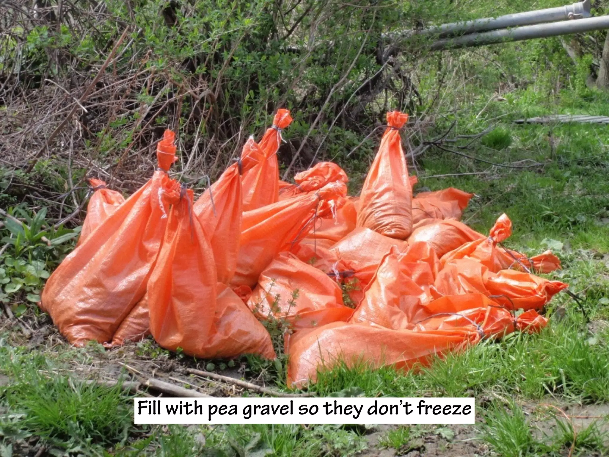 Fill with pea gravel so they don’t freeze
 