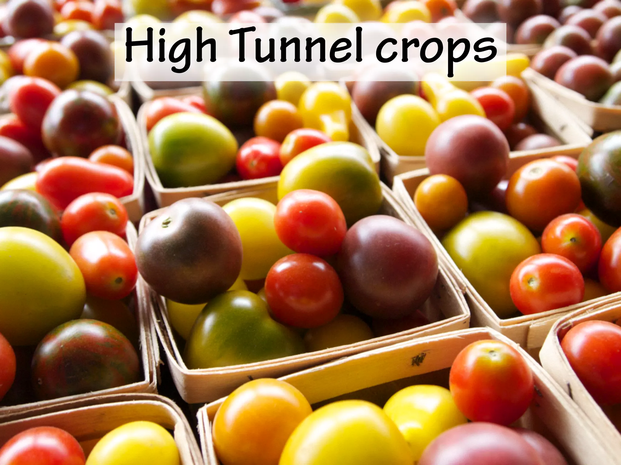 High Tunnel crops
 