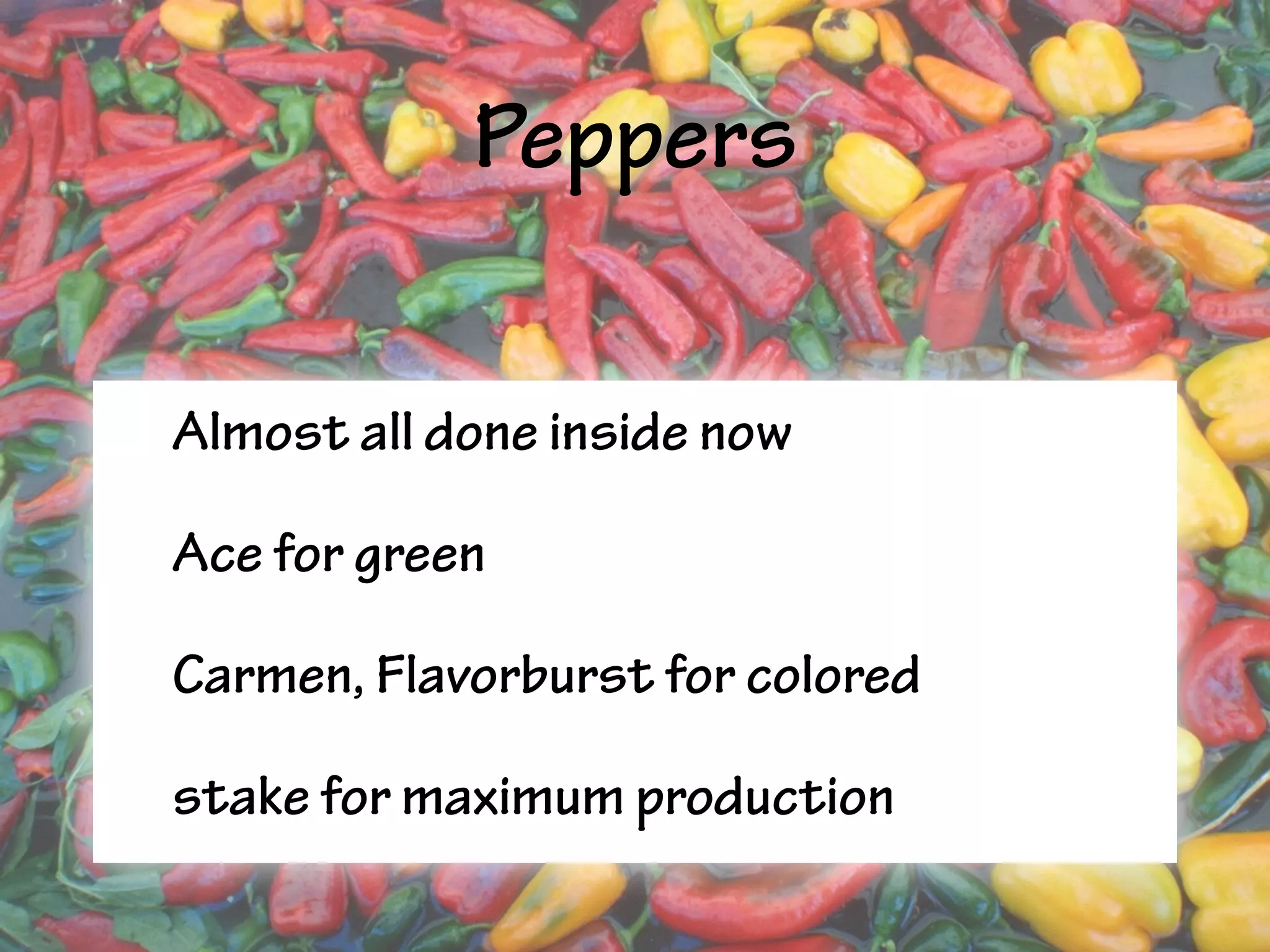 Peppers
• Almost all done inside now
• Ace for green
• Carmen, Flavorburst for colored
• stake for maximum production
 