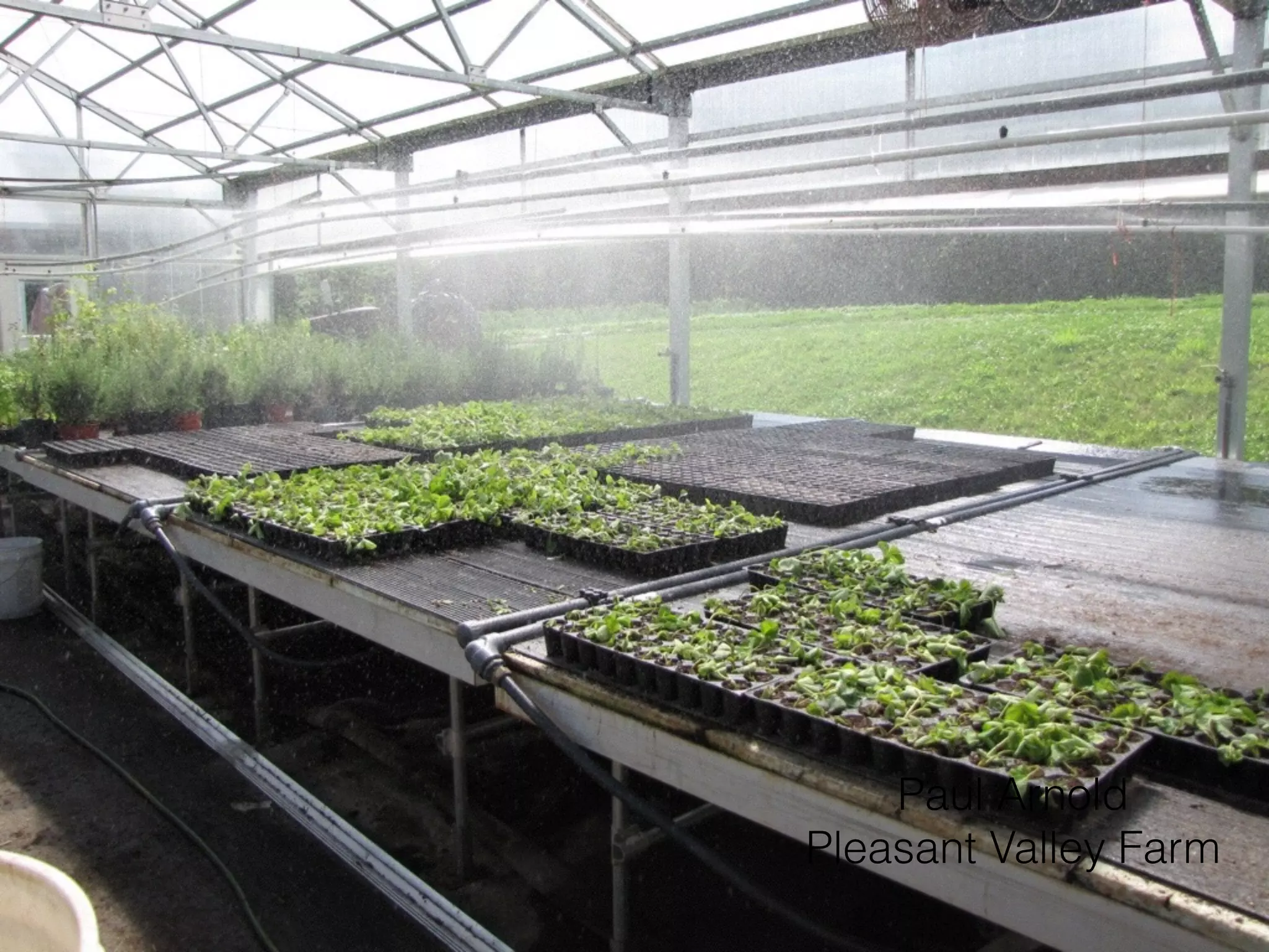 Paul Arnold
Pleasant Valley Farm
 